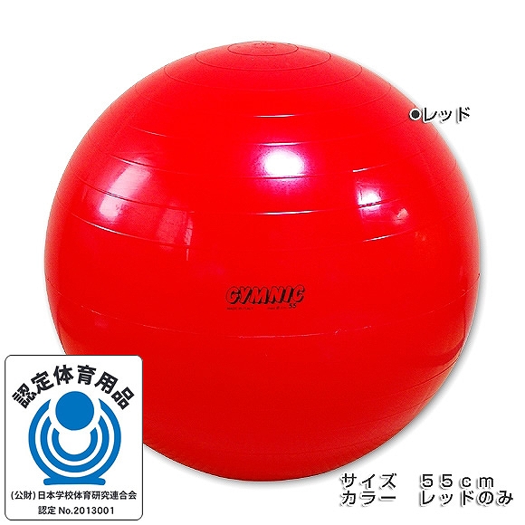 GYMNIC ギムニク イタリア製 バランスボール 55cm (GY95-55)