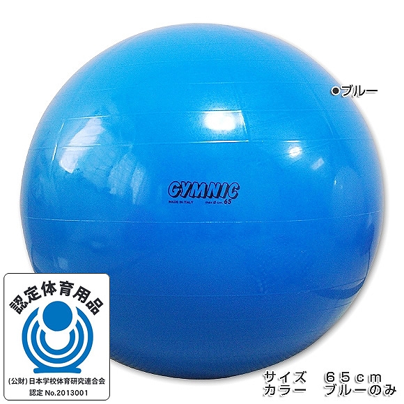 GYMNIC ギムニク イタリア製 バランスボール ギムニク・バランスボール65cm (GY95-65)