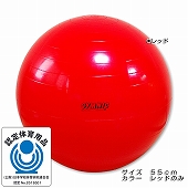 GYMNIC ギムニク イタリア製  バランスボール 55cm (GY95-55)