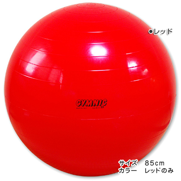 GYMNIC ギムニク イタリア製 バランスボール フィジオギムニク　ギムニク・バランスボール85cm (GY95-85)