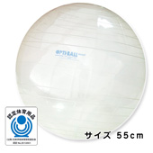 GYMNIC ギムニク イタリア製 バランスボール オプティボール55cm (GY96-55)  *次回9月末入荷予定
